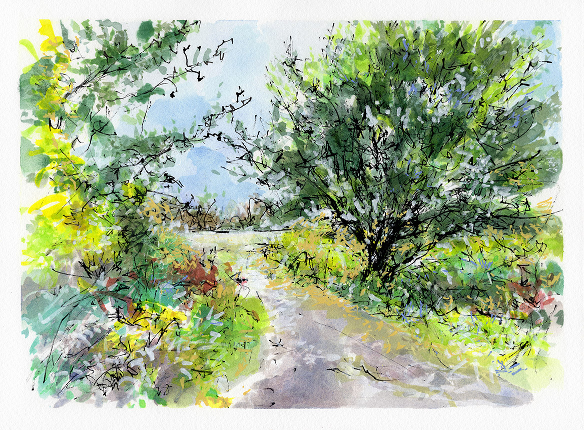 Anniversary Walk