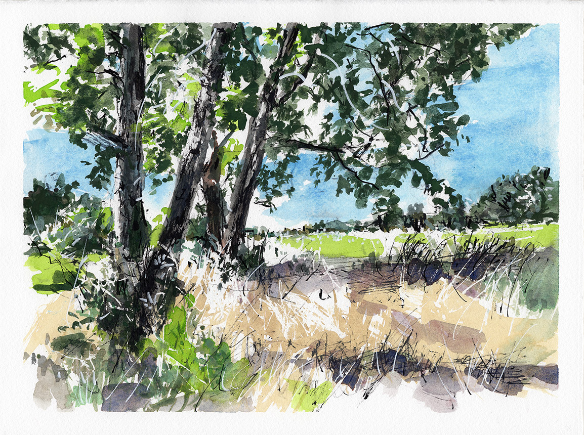 August Morning