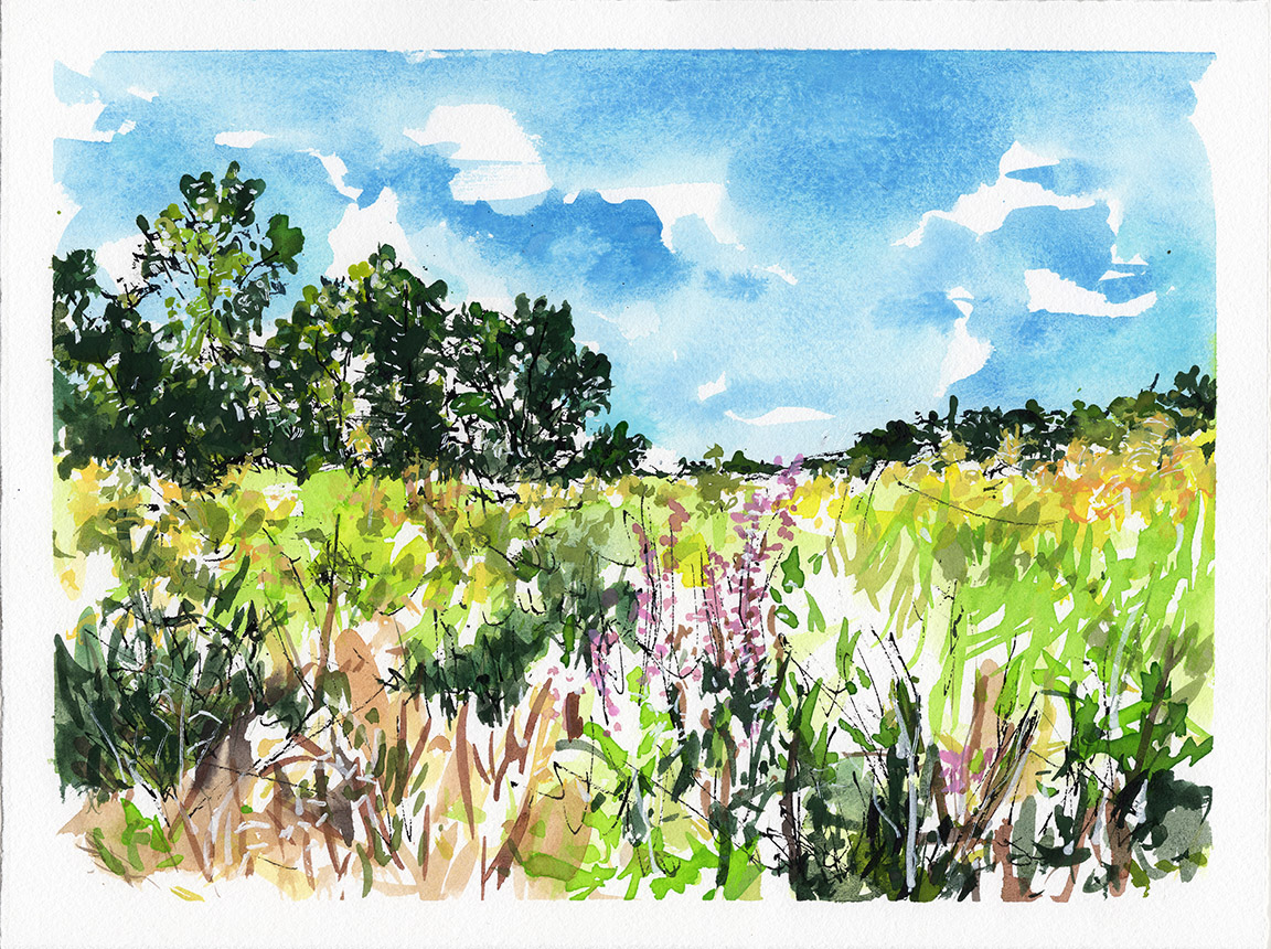 August Walk