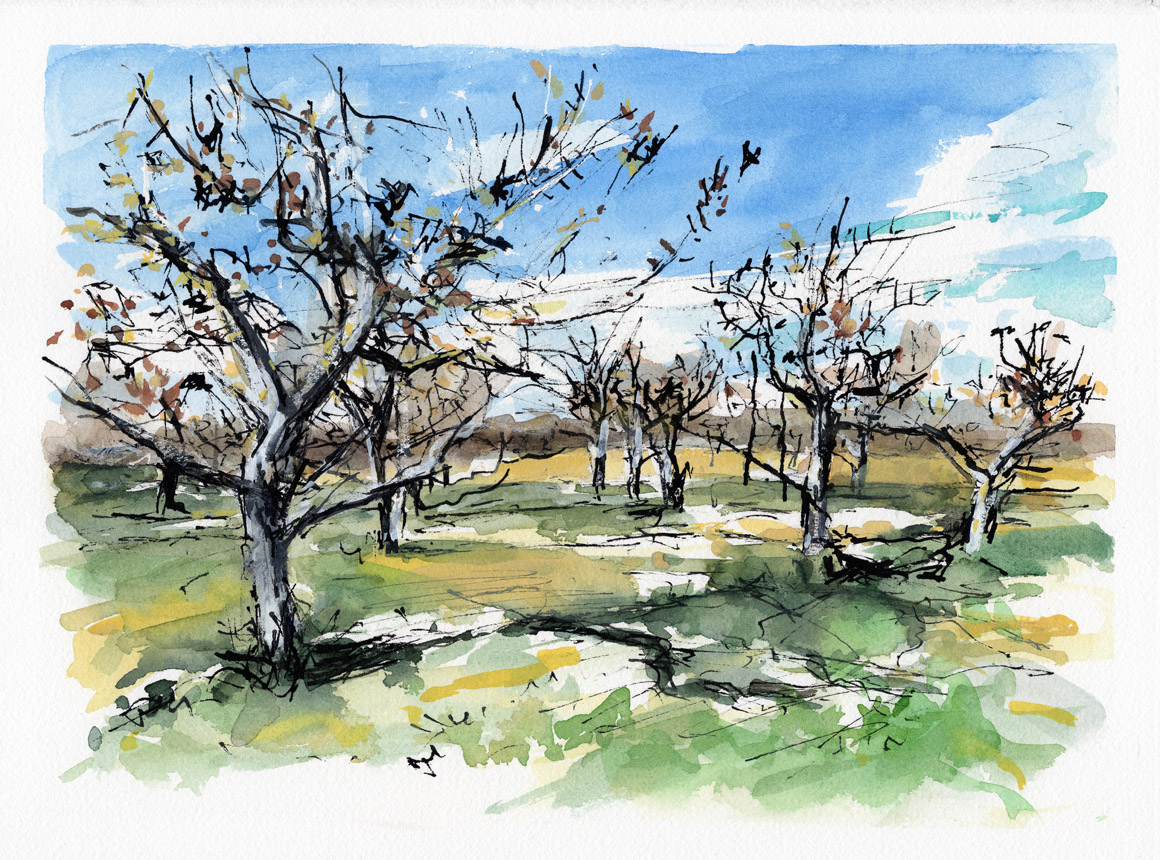 Orchard in Late November