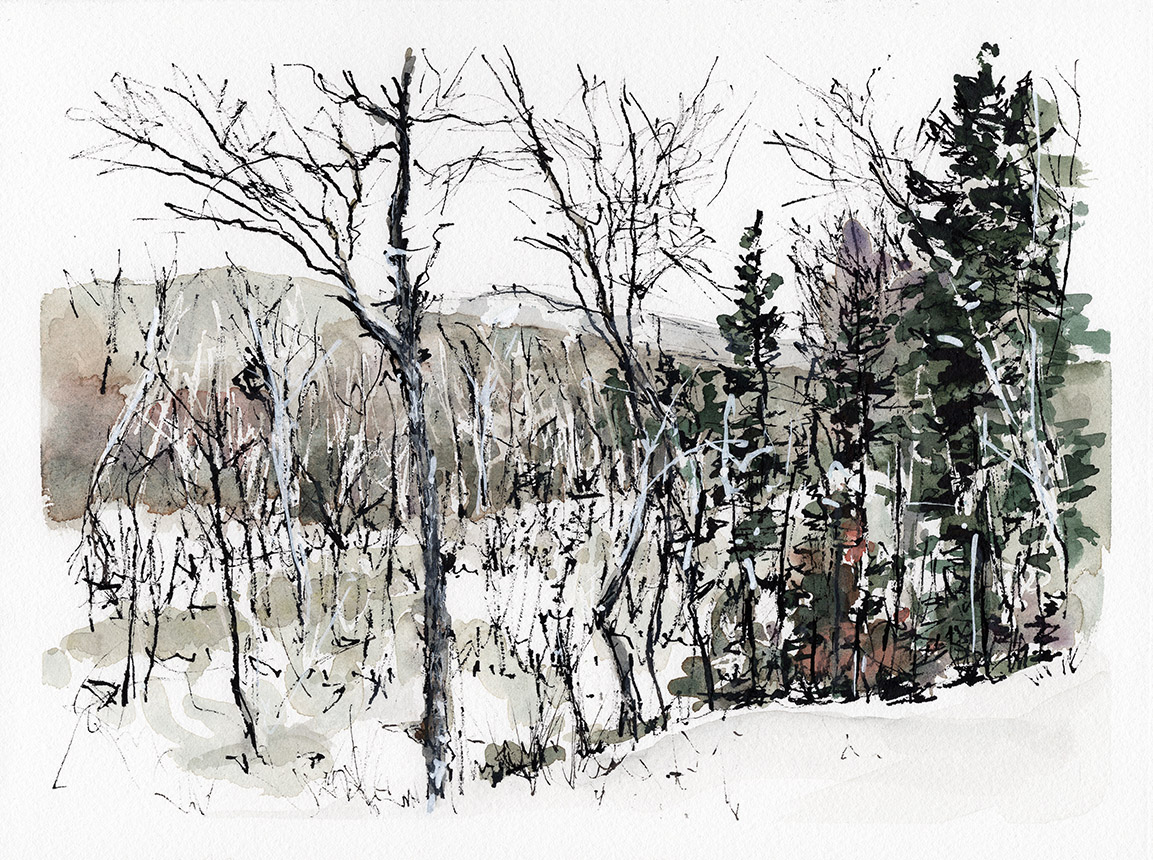 Path in the Valley 2